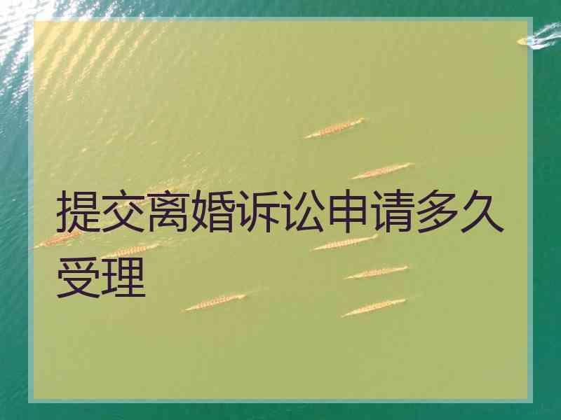 提交离婚诉讼申请多久受理