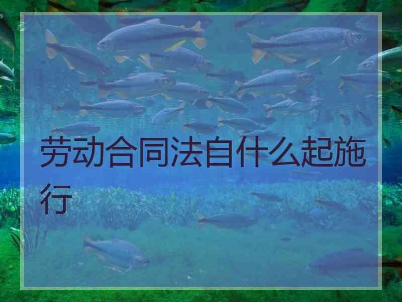 劳动合同法自什么起施行