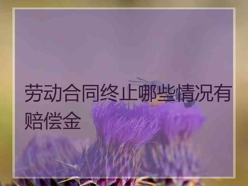 劳动合同终止哪些情况有赔偿金