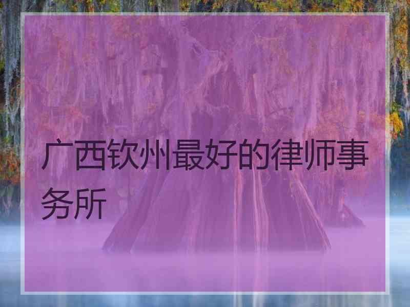广西钦州最好的律师事务所