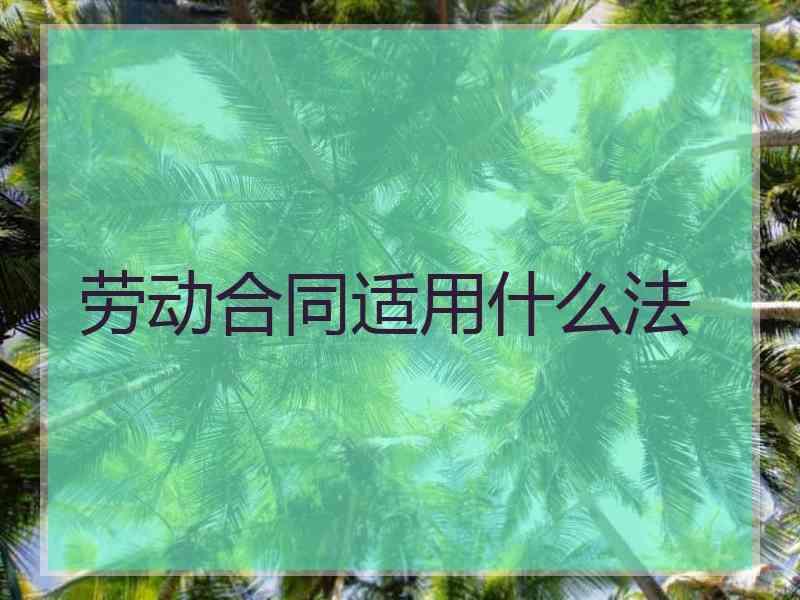 劳动合同适用什么法