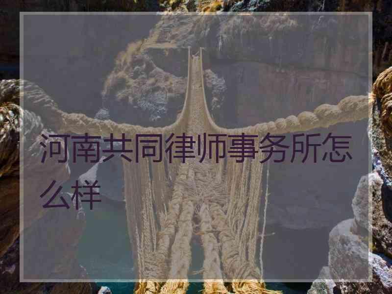 河南共同律师事务所怎么样