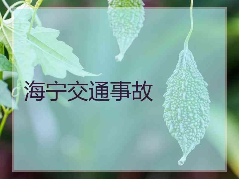 海宁交通事故