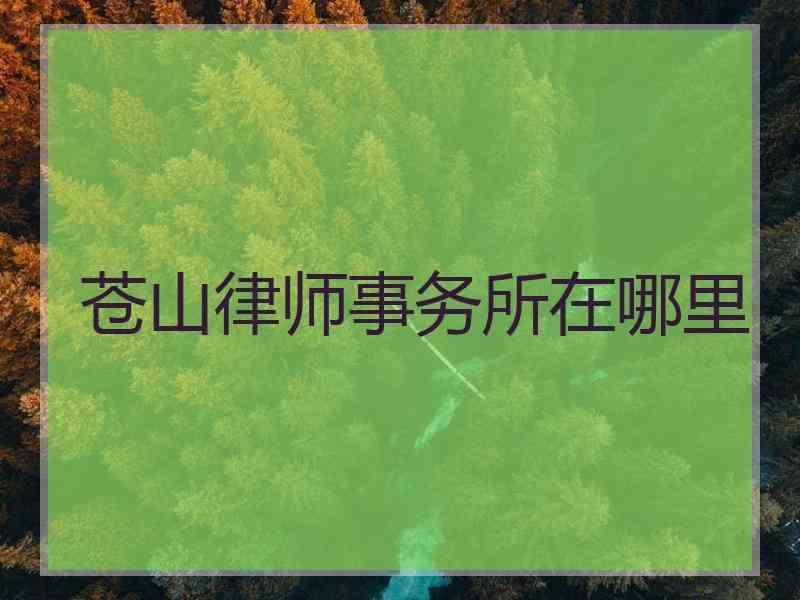 苍山律师事务所在哪里