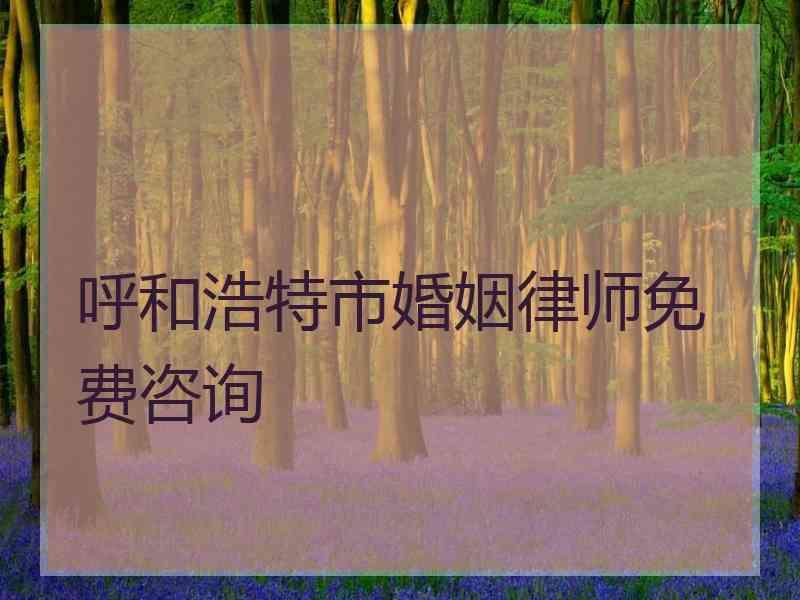 呼和浩特市婚姻律师免费咨询