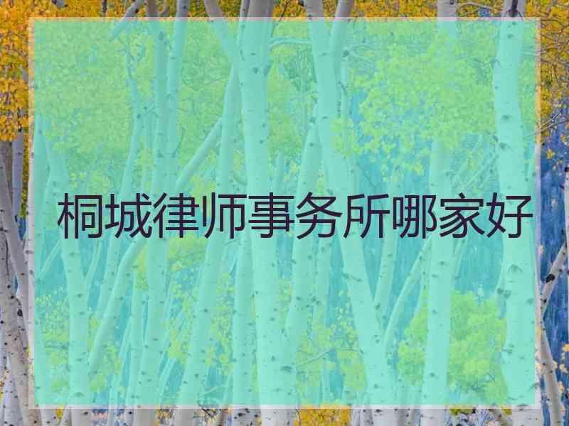 桐城律师事务所哪家好