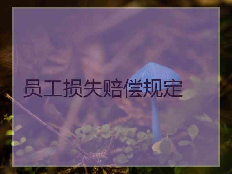 员工损失赔偿规定