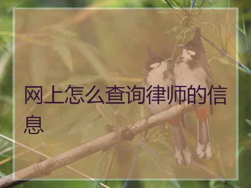 网上怎么查询律师的信息