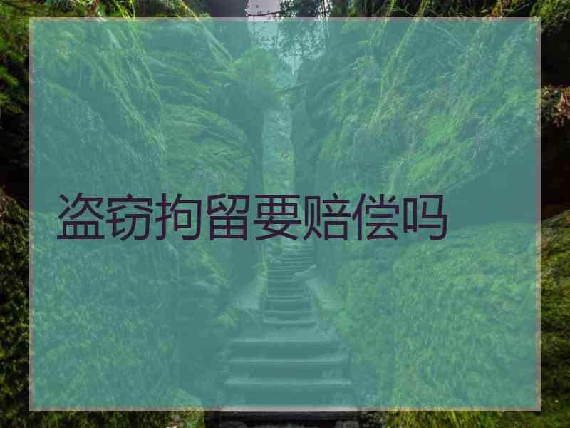 盗窃拘留要赔偿吗