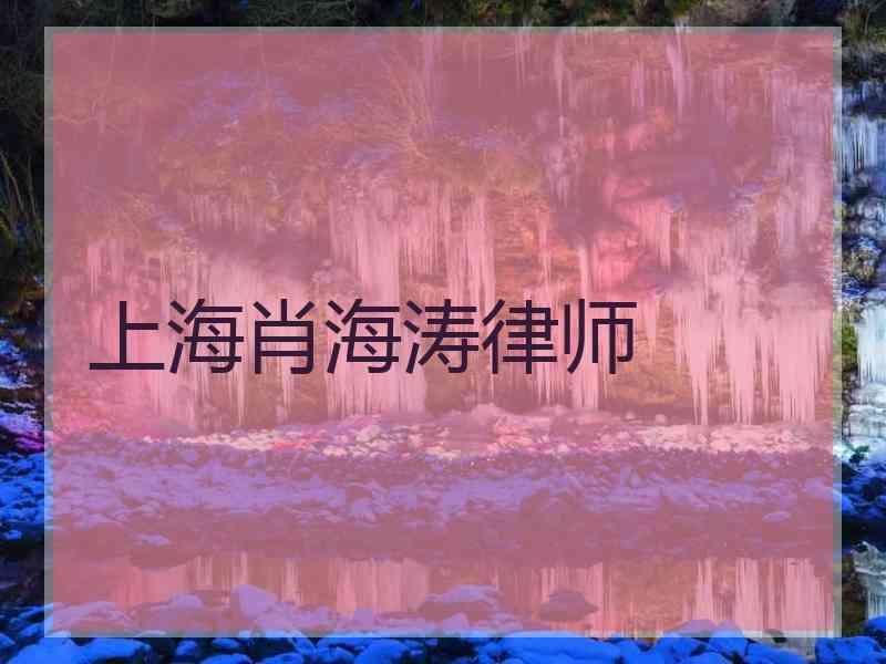 上海肖海涛律师