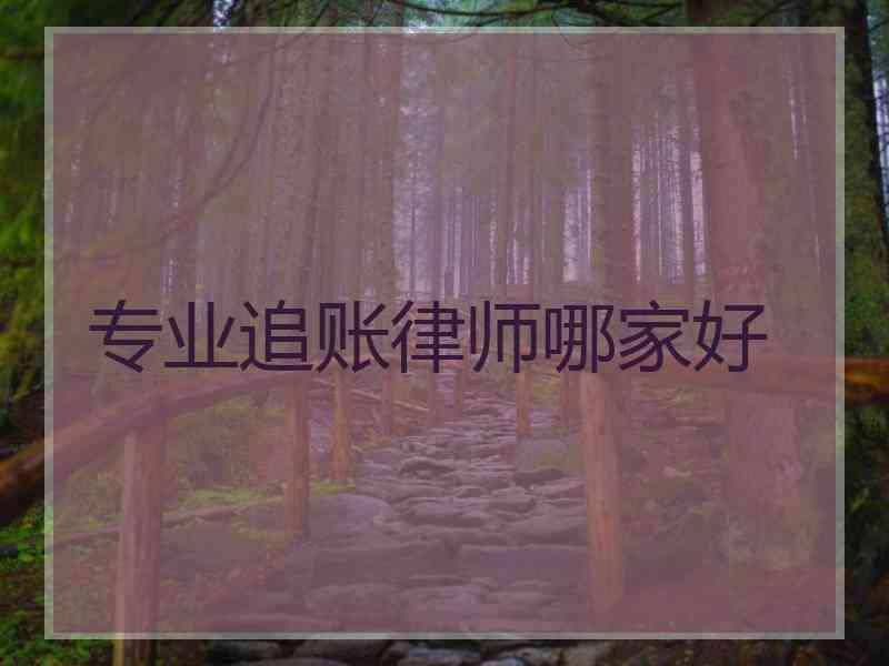 专业追账律师哪家好