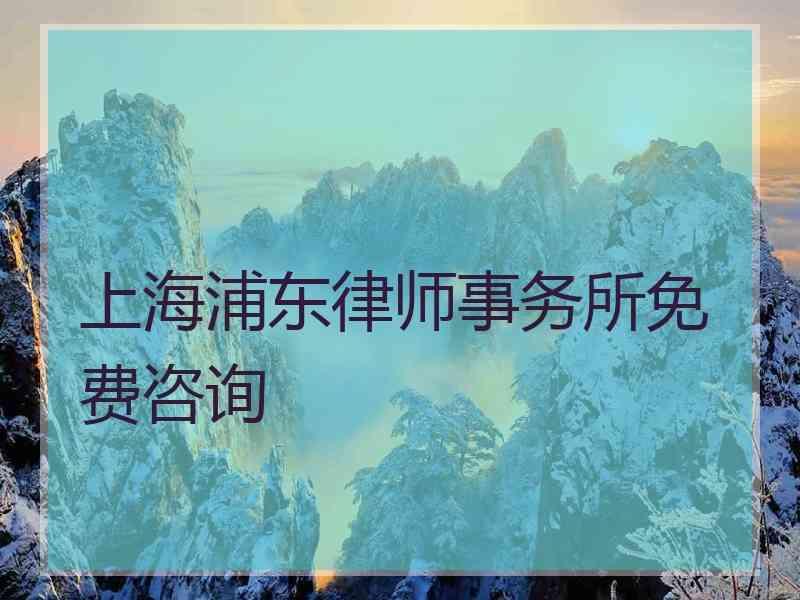 上海浦东律师事务所免费咨询