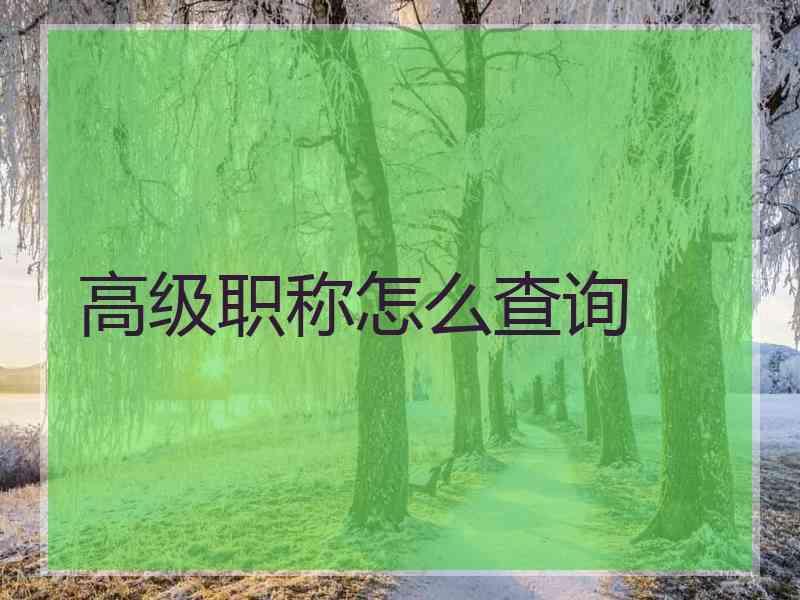 高级职称怎么查询