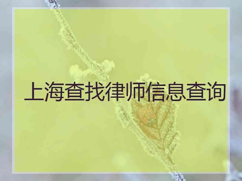 上海查找律师信息查询