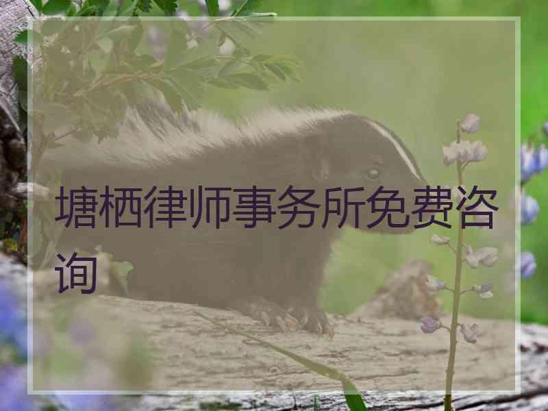 塘栖律师事务所免费咨询