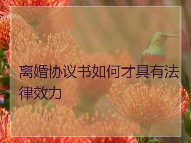 离婚协议书如何才具有法律效力