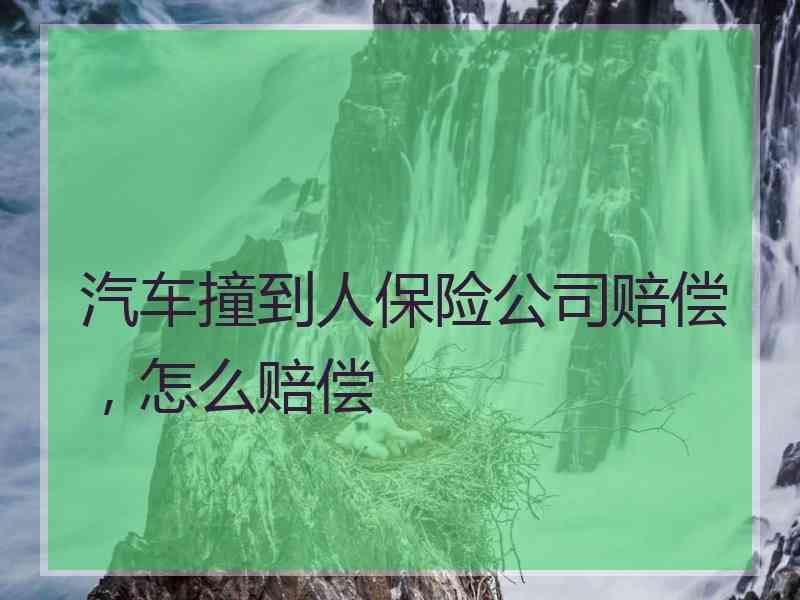 汽车撞到人保险公司赔偿，怎么赔偿