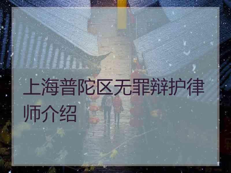 上海普陀区无罪辩护律师介绍