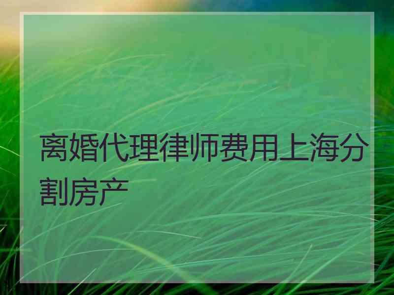 离婚代理律师费用上海分割房产