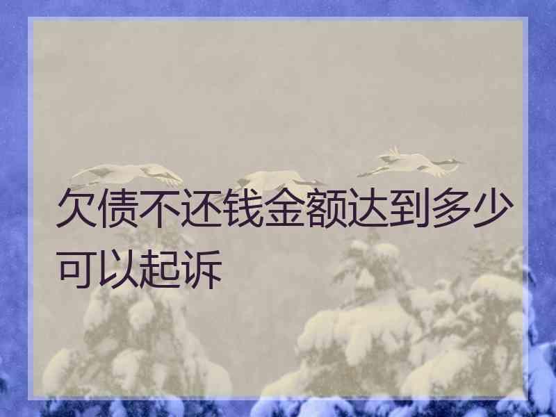 欠债不还钱金额达到多少可以起诉