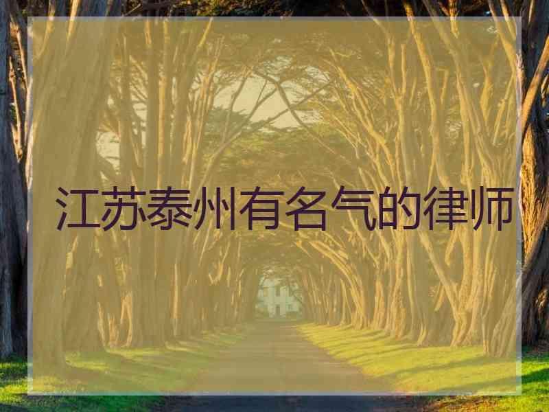 江苏泰州有名气的律师