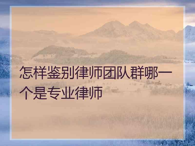 怎样鉴别律师团队群哪一个是专业律师