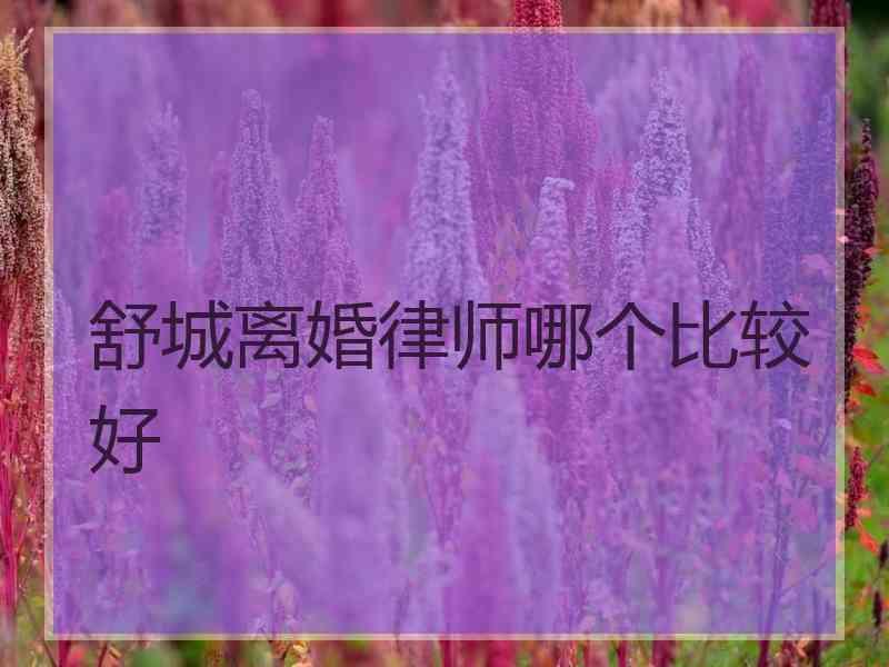 舒城离婚律师哪个比较好