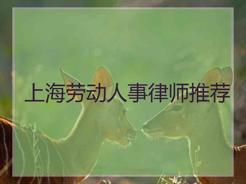 上海劳动人事律师推荐