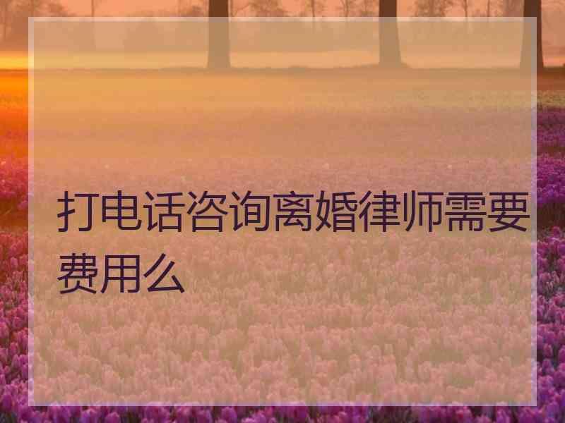 打电话咨询离婚律师需要费用么