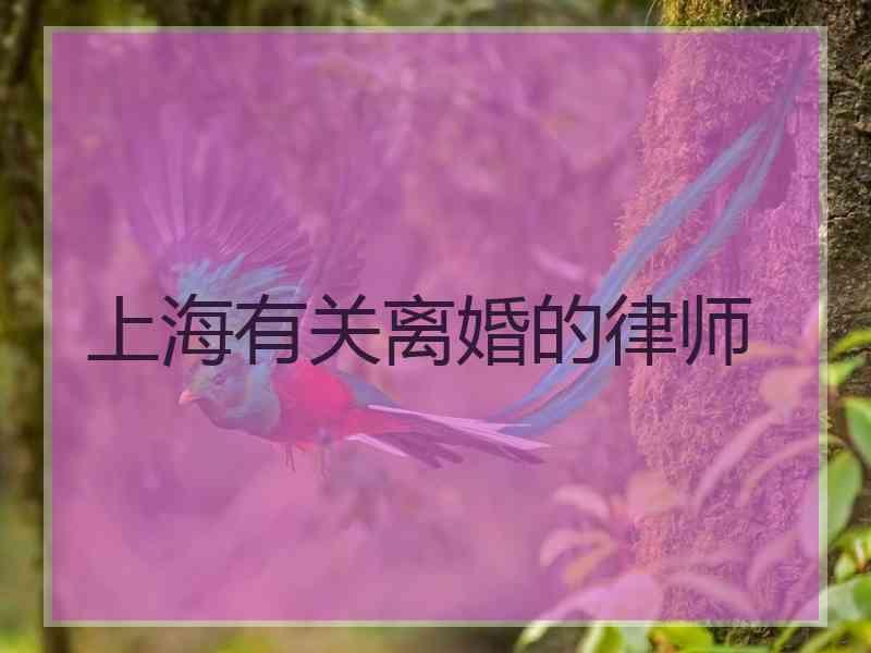 上海有关离婚的律师