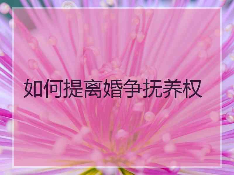 如何提离婚争抚养权