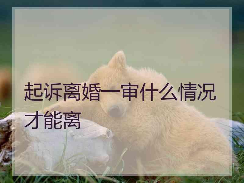 起诉离婚一审什么情况才能离