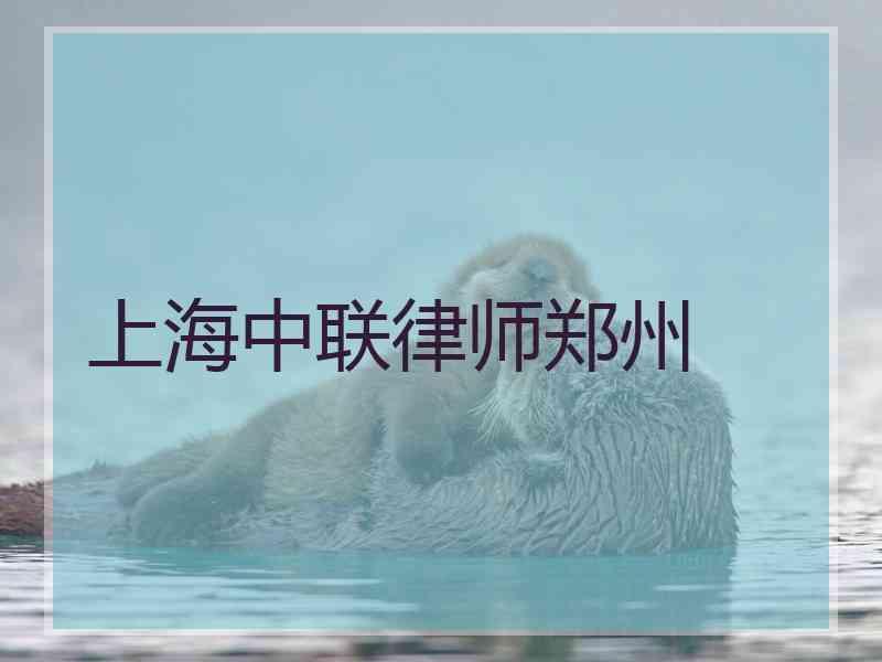 上海中联律师郑州