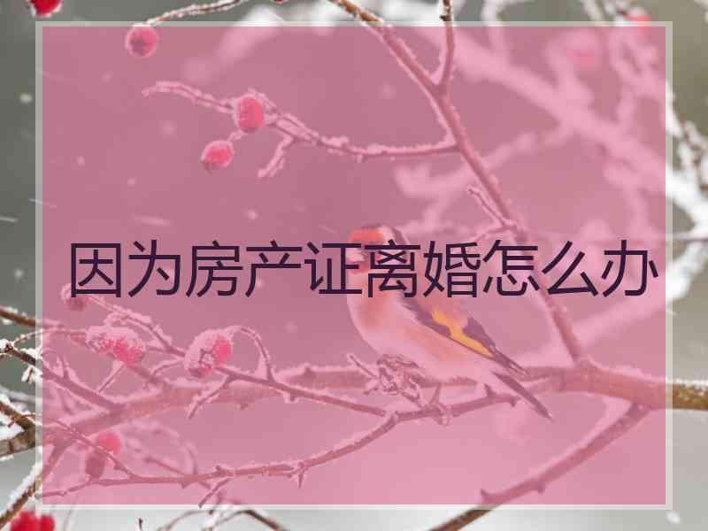 因为房产证离婚怎么办