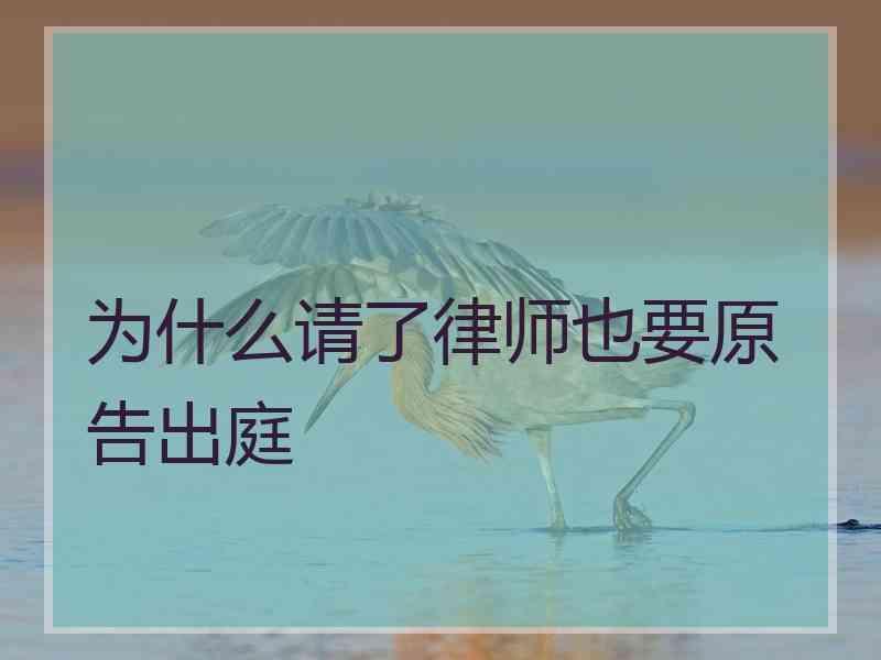 为什么请了律师也要原告出庭