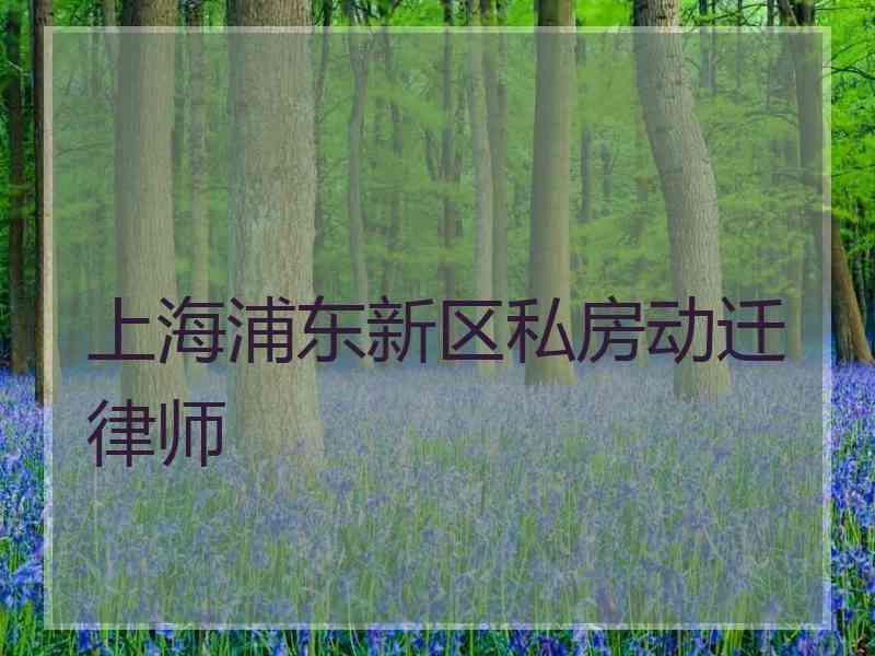 上海浦东新区私房动迁律师