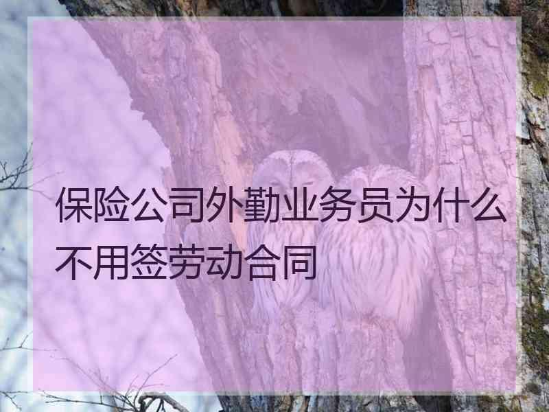 保险公司外勤业务员为什么不用签劳动合同