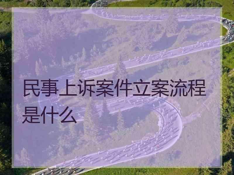 民事上诉案件立案流程是什么