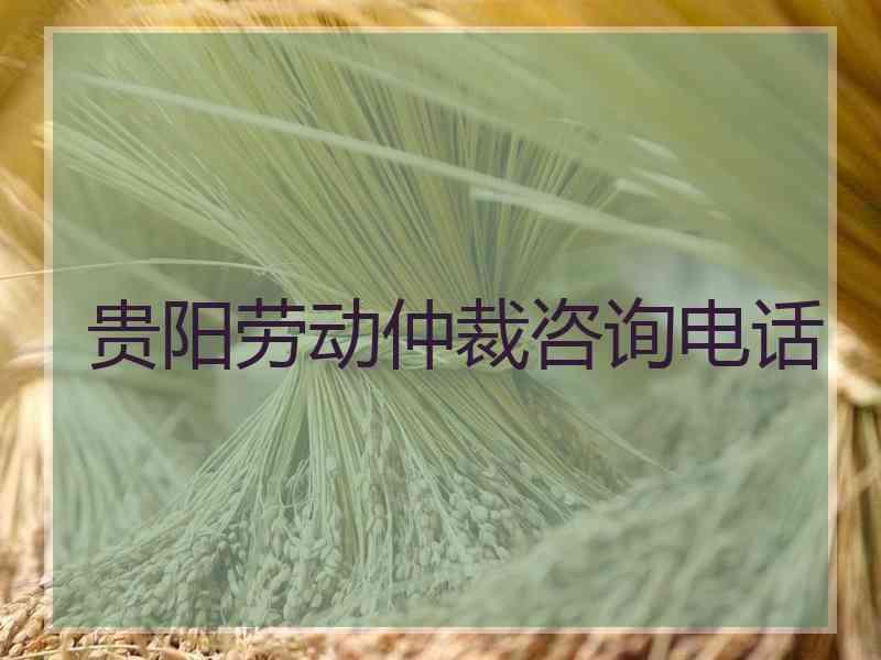 贵阳劳动仲裁咨询电话
