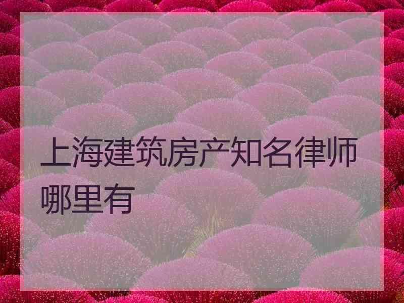 上海建筑房产知名律师哪里有