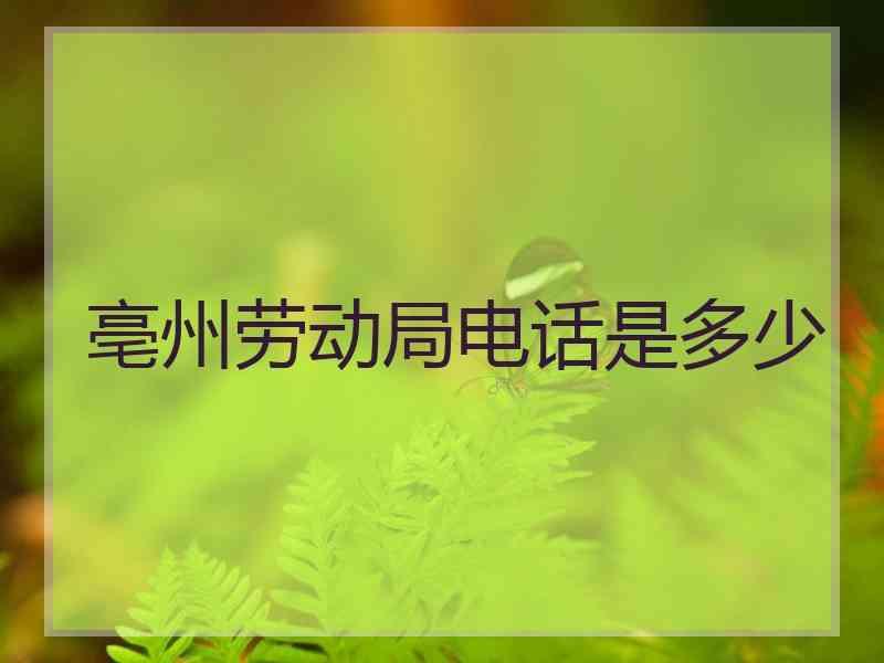 亳州劳动局电话是多少