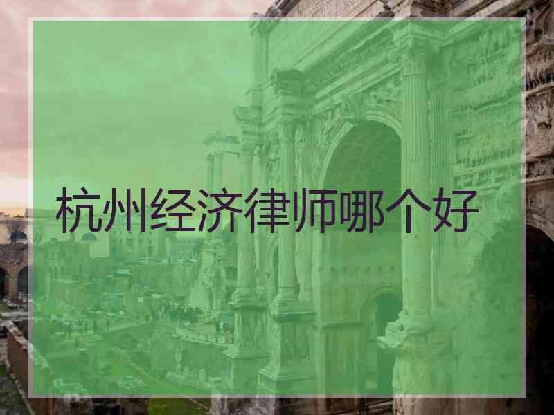 杭州经济律师哪个好