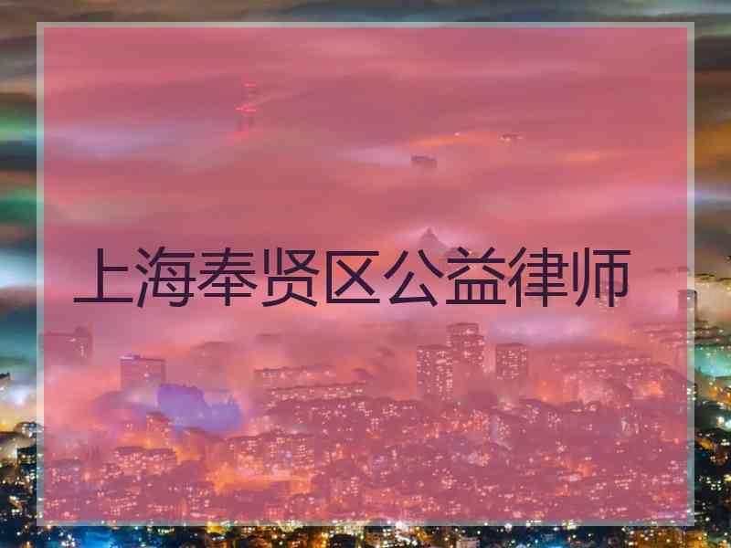 上海奉贤区公益律师