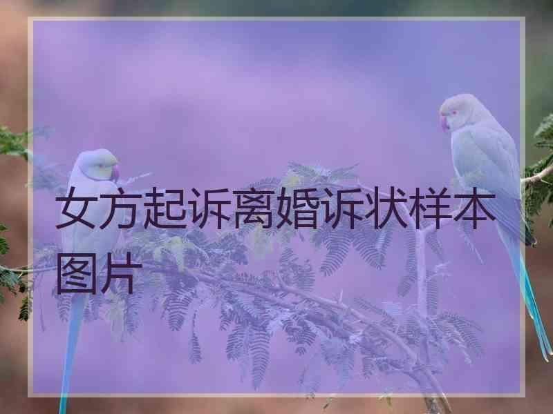 女方起诉离婚诉状样本图片