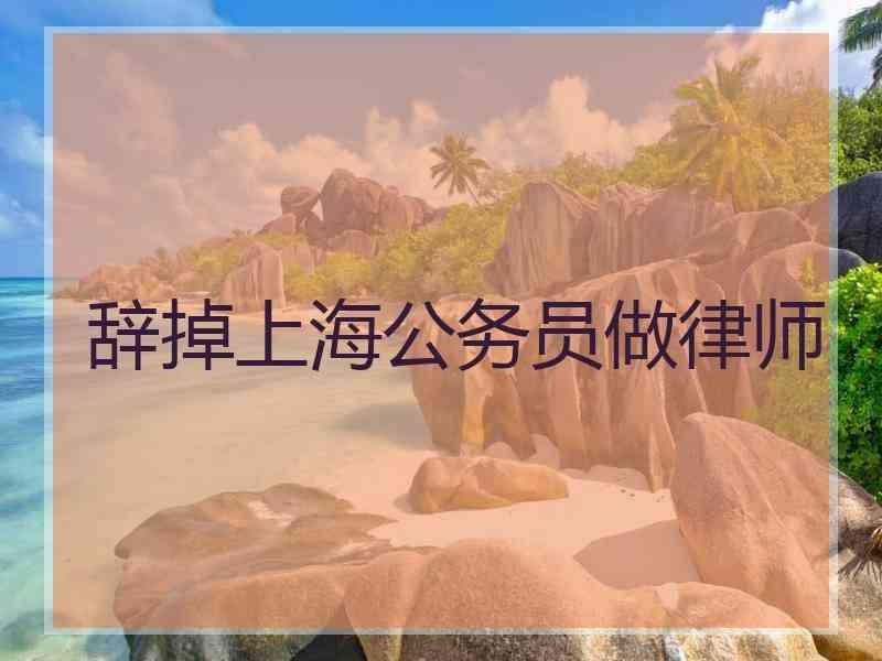 辞掉上海公务员做律师