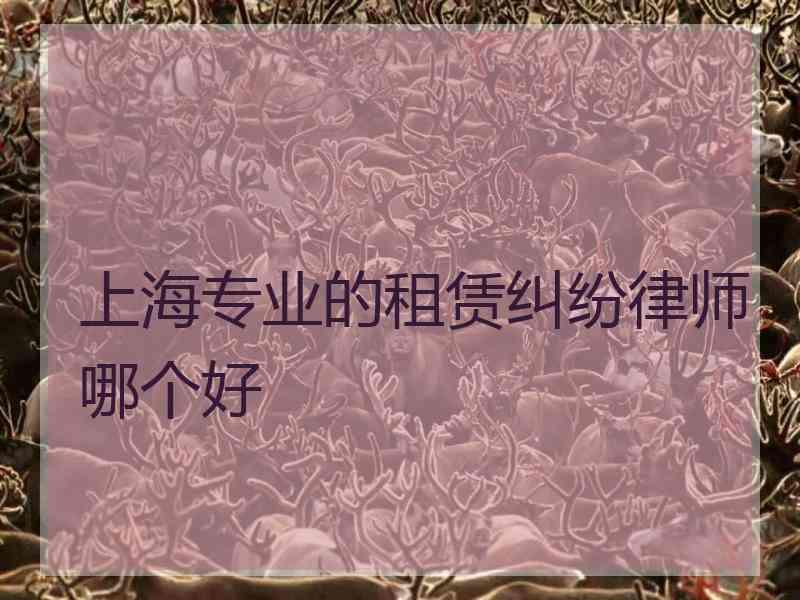 上海专业的租赁纠纷律师哪个好