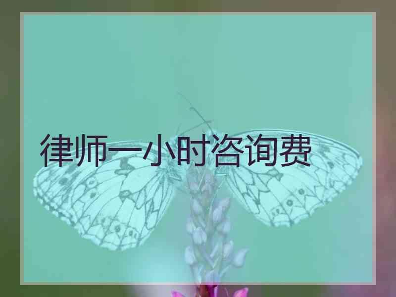 律师一小时咨询费