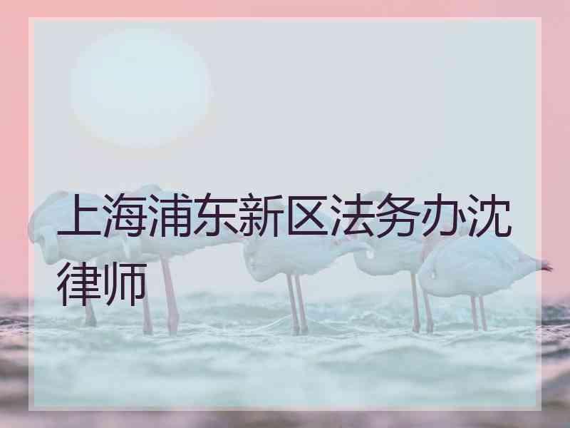 上海浦东新区法务办沈律师