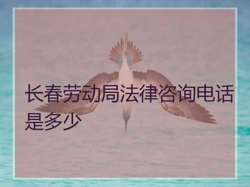 长春劳动局法律咨询电话是多少