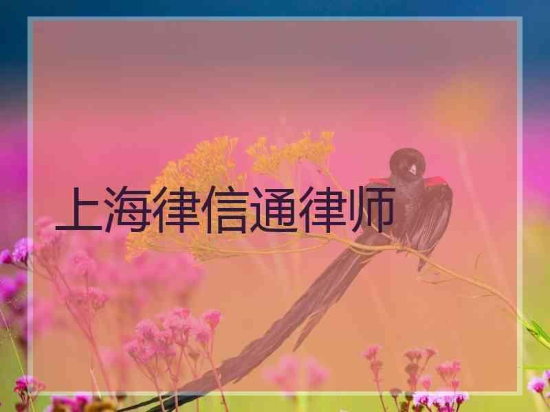 上海律信通律师